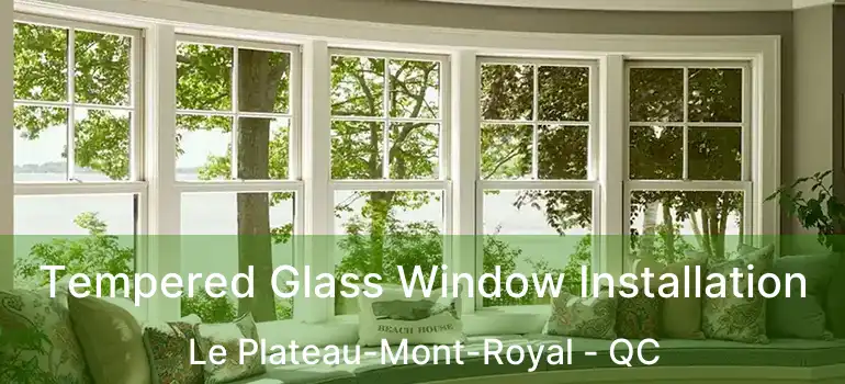  Tempered Glass Window Installation Le Plateau-Mont-Royal - QC