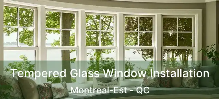  Tempered Glass Window Installation Montreal-Est - QC