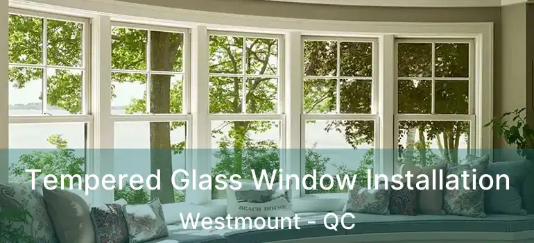  Tempered Glass Window Installation Westmount - QC