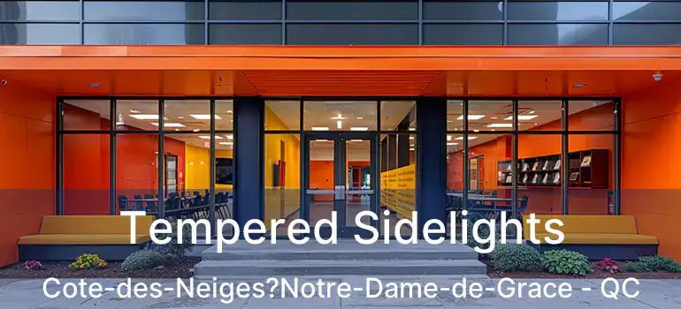  Tempered Sidelights Cote-des-Neiges?Notre-Dame-de-Grace - QC