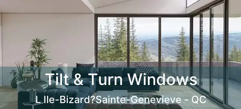  Tilt & Turn Windows L Ile-Bizard?Sainte-Genevieve - QC