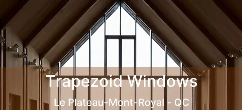  Trapezoid Windows Le Plateau-Mont-Royal - QC