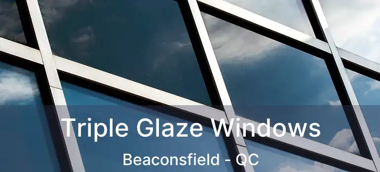  Triple Glaze Windows Beaconsfield - QC