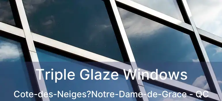  Triple Glaze Windows Cote-des-Neiges?Notre-Dame-de-Grace - QC
