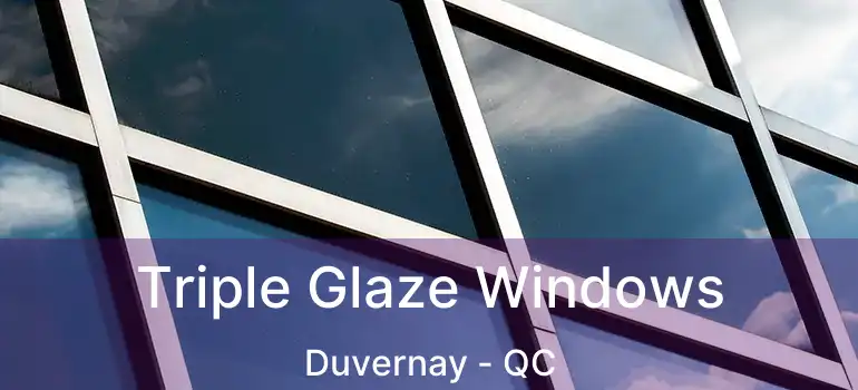  Triple Glaze Windows Duvernay - QC