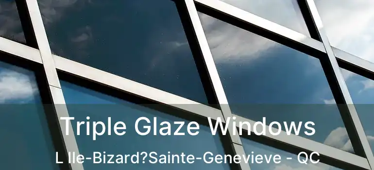  Triple Glaze Windows L Ile-Bizard?Sainte-Genevieve - QC