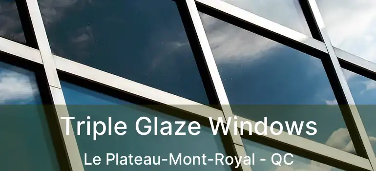  Triple Glaze Windows Le Plateau-Mont-Royal - QC