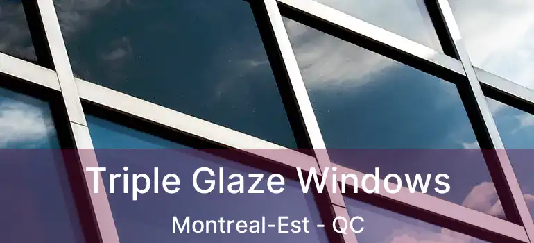  Triple Glaze Windows Montreal-Est - QC