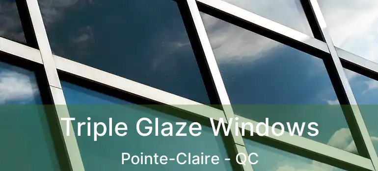  Triple Glaze Windows Pointe-Claire - QC