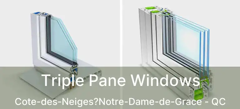  Triple Pane Windows Cote-des-Neiges?Notre-Dame-de-Grace - QC
