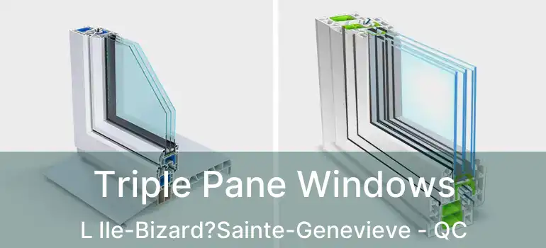  Triple Pane Windows L Ile-Bizard?Sainte-Genevieve - QC