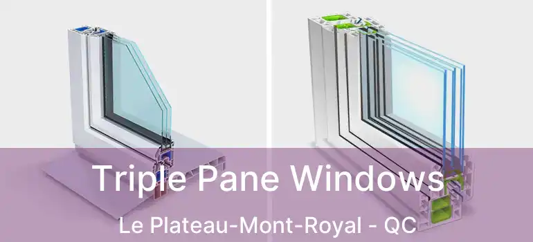  Triple Pane Windows Le Plateau-Mont-Royal - QC