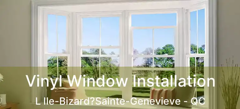  Vinyl Window Installation L Ile-Bizard?Sainte-Genevieve - QC