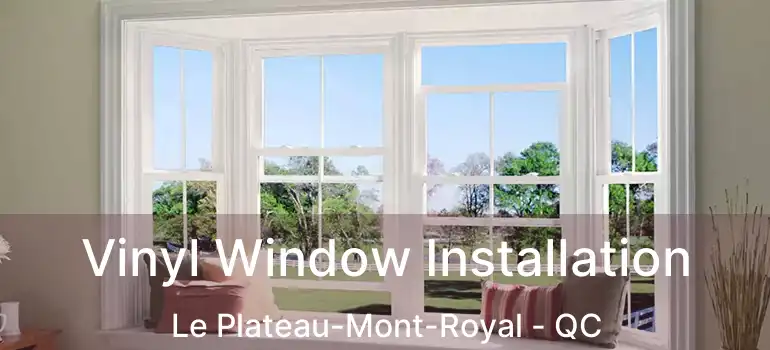  Vinyl Window Installation Le Plateau-Mont-Royal - QC