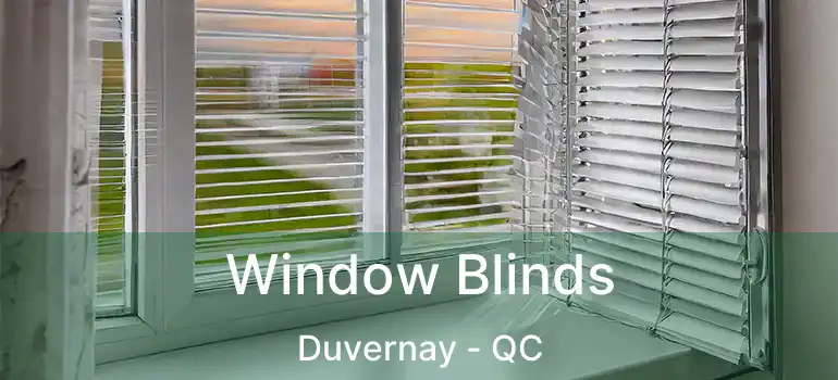  Window Blinds Duvernay - QC
