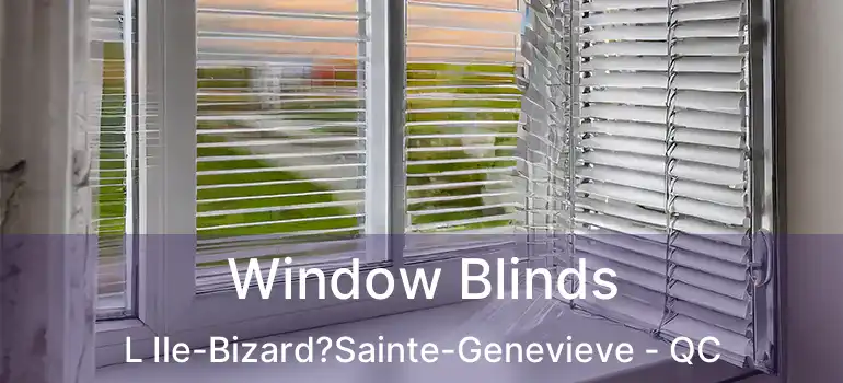  Window Blinds L Ile-Bizard?Sainte-Genevieve - QC
