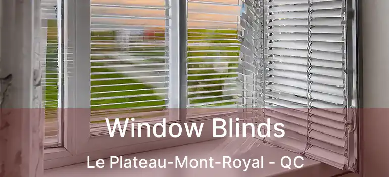  Window Blinds Le Plateau-Mont-Royal - QC