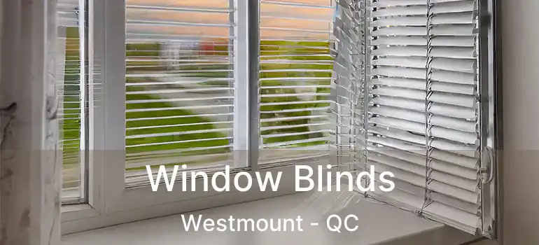  Window Blinds Westmount - QC