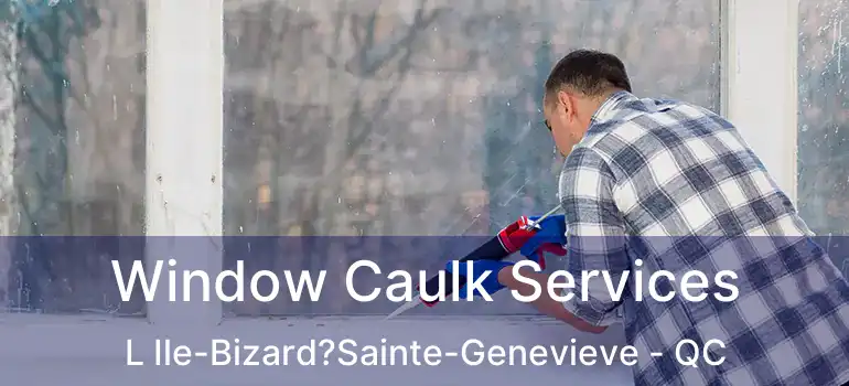  Window Caulk Services L Ile-Bizard?Sainte-Genevieve - QC