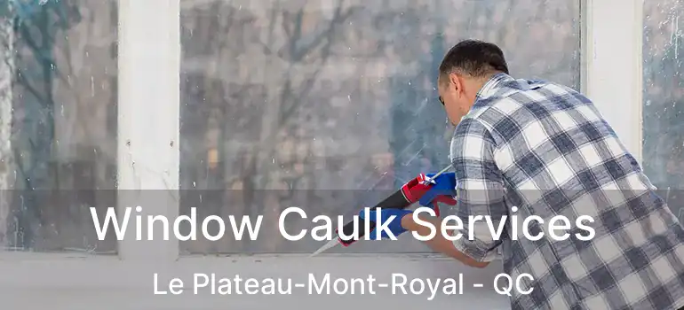 Window Caulk Services Le Plateau-Mont-Royal - QC