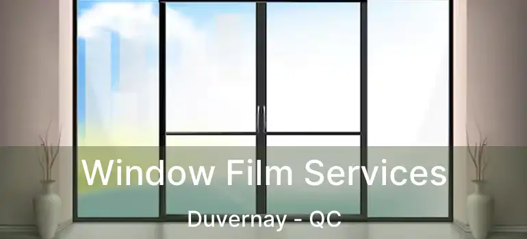 Window Film Services Duvernay - QC
