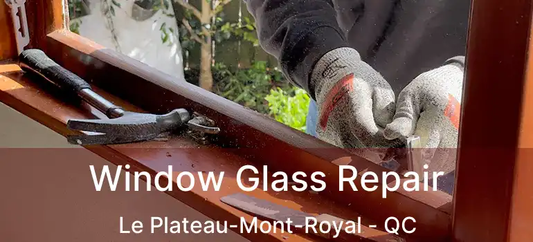  Window Glass Repair Le Plateau-Mont-Royal - QC