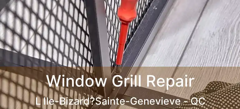  Window Grill Repair L Ile-Bizard?Sainte-Genevieve - QC