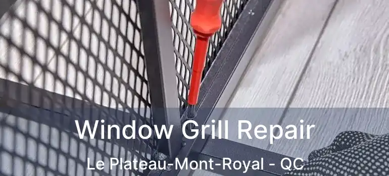  Window Grill Repair Le Plateau-Mont-Royal - QC