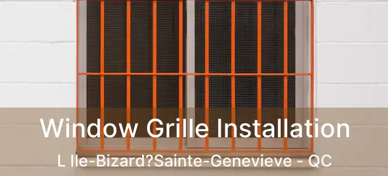  Window Grille Installation L Ile-Bizard?Sainte-Genevieve - QC