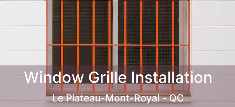  Window Grille Installation Le Plateau-Mont-Royal - QC