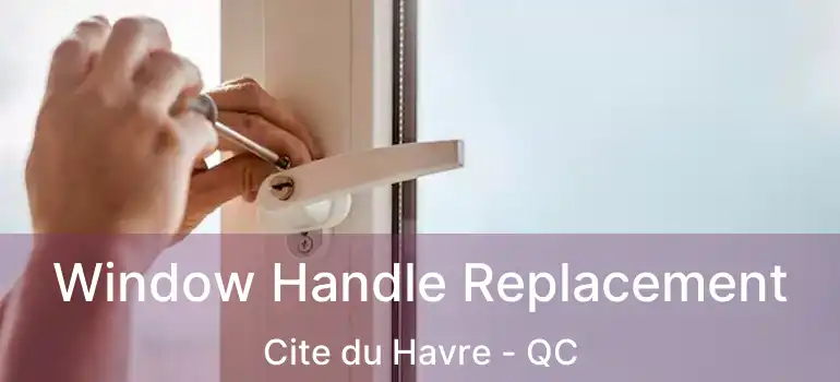  Window Handle Replacement Cite du Havre - QC