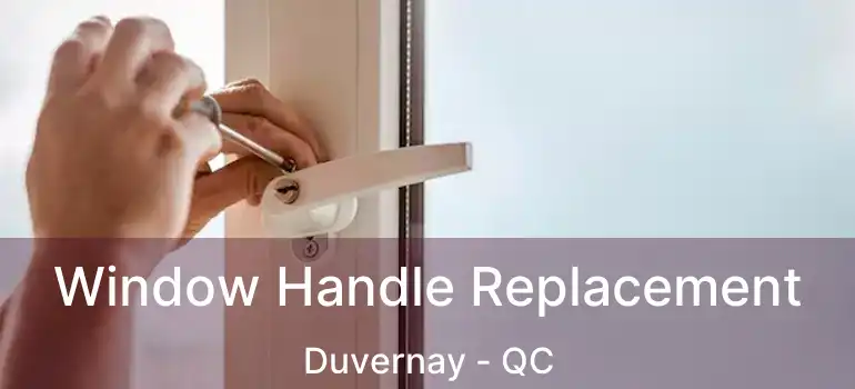  Window Handle Replacement Duvernay - QC