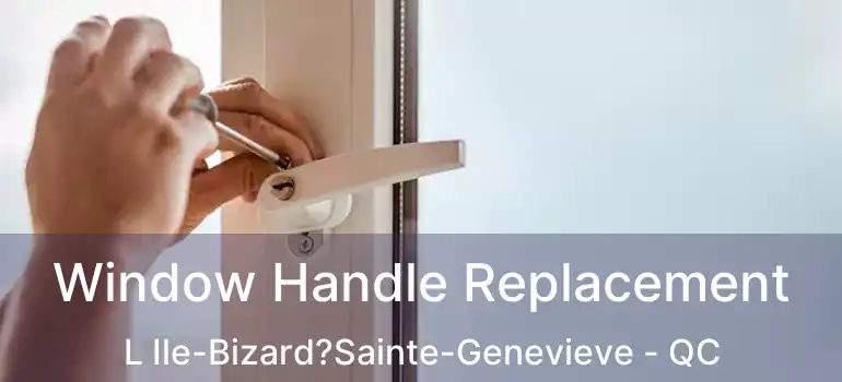  Window Handle Replacement L Ile-Bizard?Sainte-Genevieve - QC