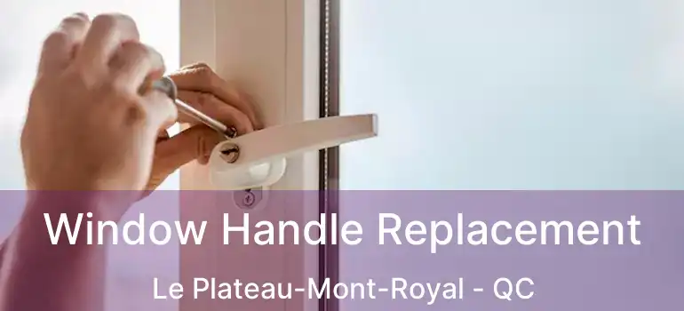  Window Handle Replacement Le Plateau-Mont-Royal - QC