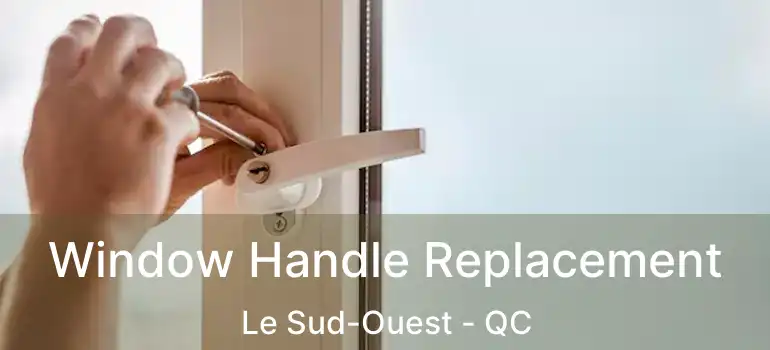  Window Handle Replacement Le Sud-Ouest - QC