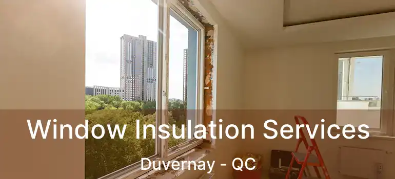  Window Insulation Services Duvernay - QC