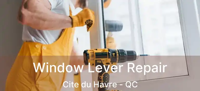  Window Lever Repair Cite du Havre - QC