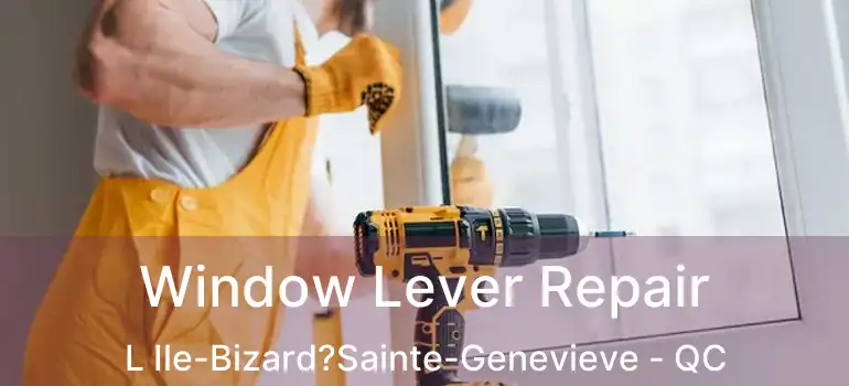  Window Lever Repair L Ile-Bizard?Sainte-Genevieve - QC