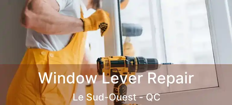  Window Lever Repair Le Sud-Ouest - QC