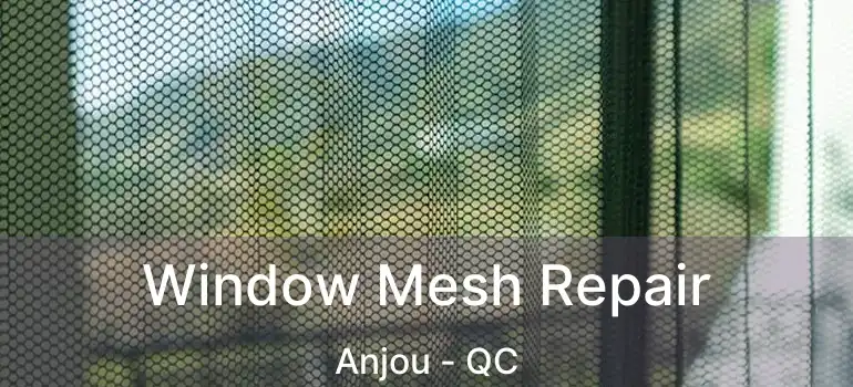  Window Mesh Repair Anjou - QC