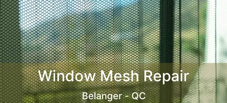  Window Mesh Repair Belanger - QC