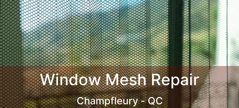  Window Mesh Repair Champfleury - QC