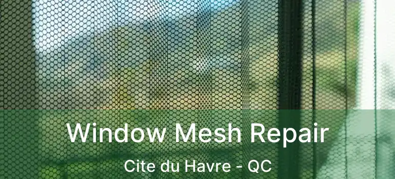  Window Mesh Repair Cite du Havre - QC