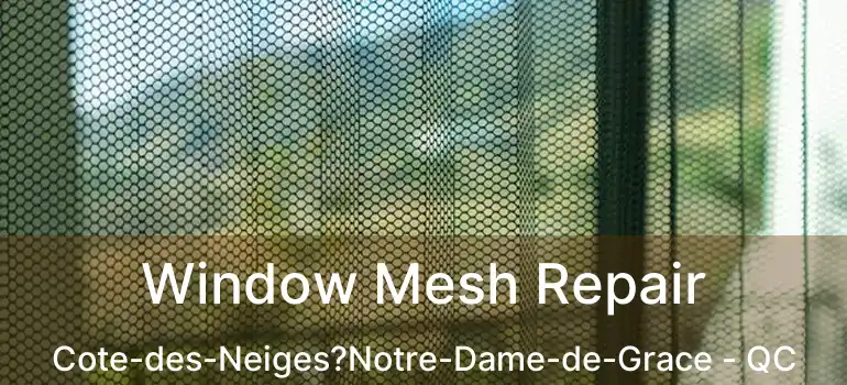  Window Mesh Repair Cote-des-Neiges?Notre-Dame-de-Grace - QC