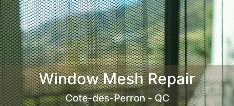  Window Mesh Repair Cote-des-Perron - QC