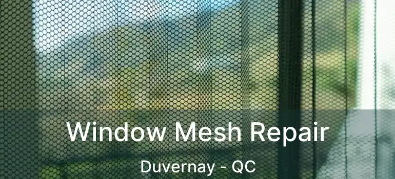  Window Mesh Repair Duvernay - QC