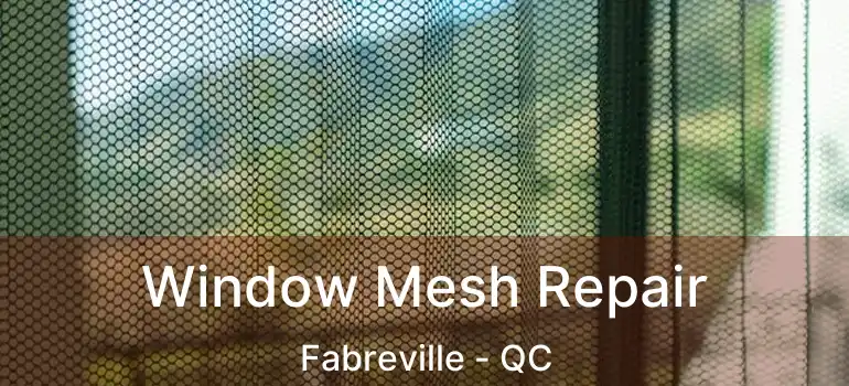  Window Mesh Repair Fabreville - QC