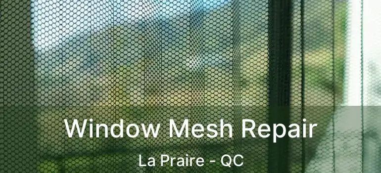  Window Mesh Repair La Praire - QC