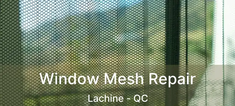  Window Mesh Repair Lachine - QC