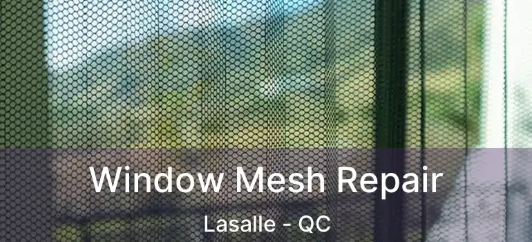  Window Mesh Repair Lasalle - QC